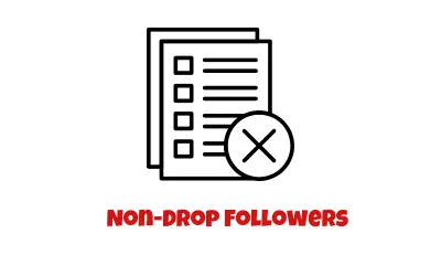 Non-Drop InstaUp Followers